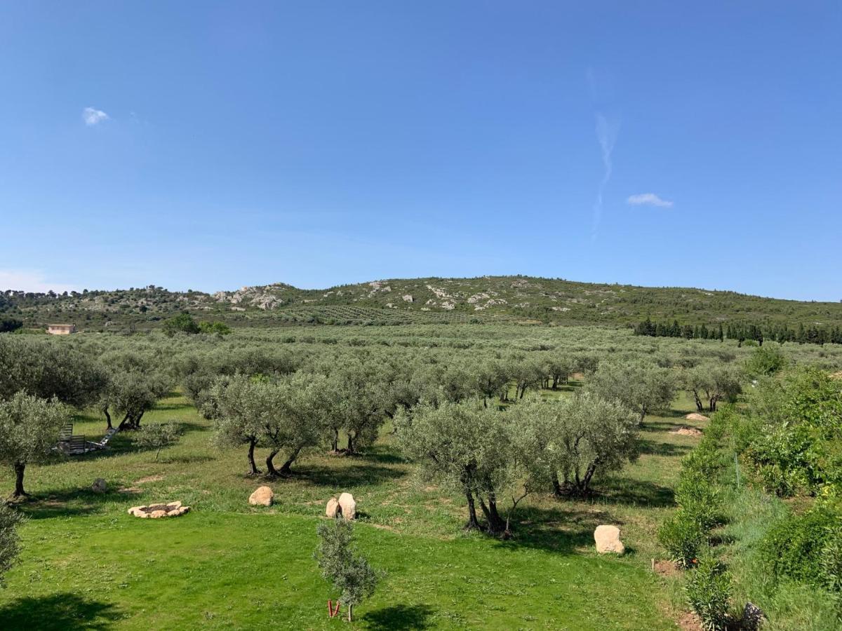 La Bergerie De Cigalon Bed & Breakfast Mouries Exterior photo