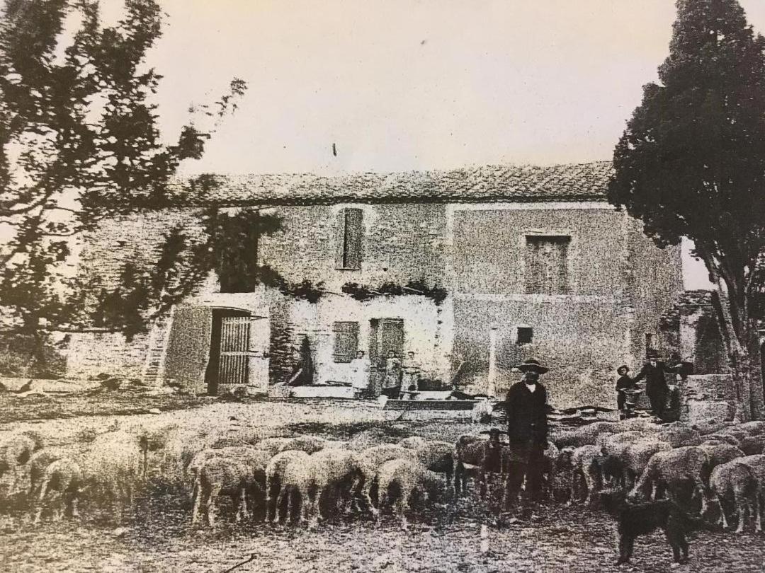 La Bergerie De Cigalon Bed & Breakfast Mouries Exterior photo
