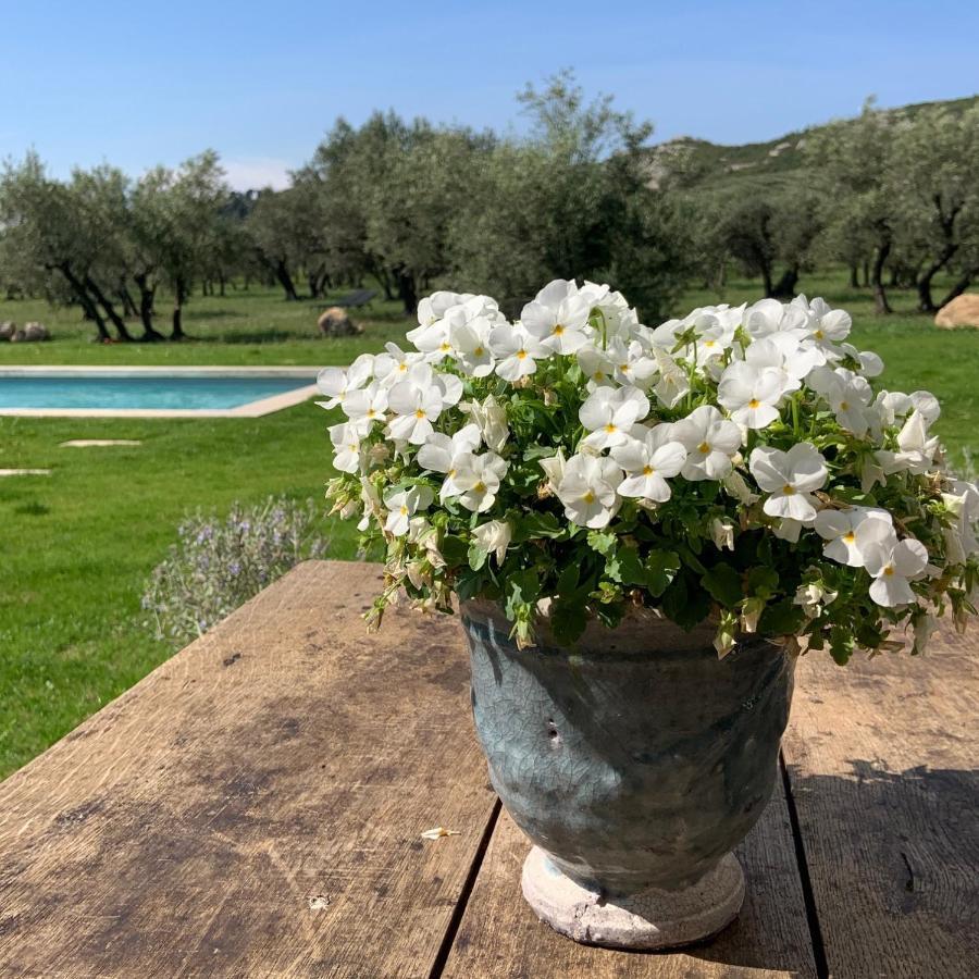 La Bergerie De Cigalon Bed & Breakfast Mouries Exterior photo